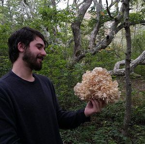 Meet your Posher, Thomas